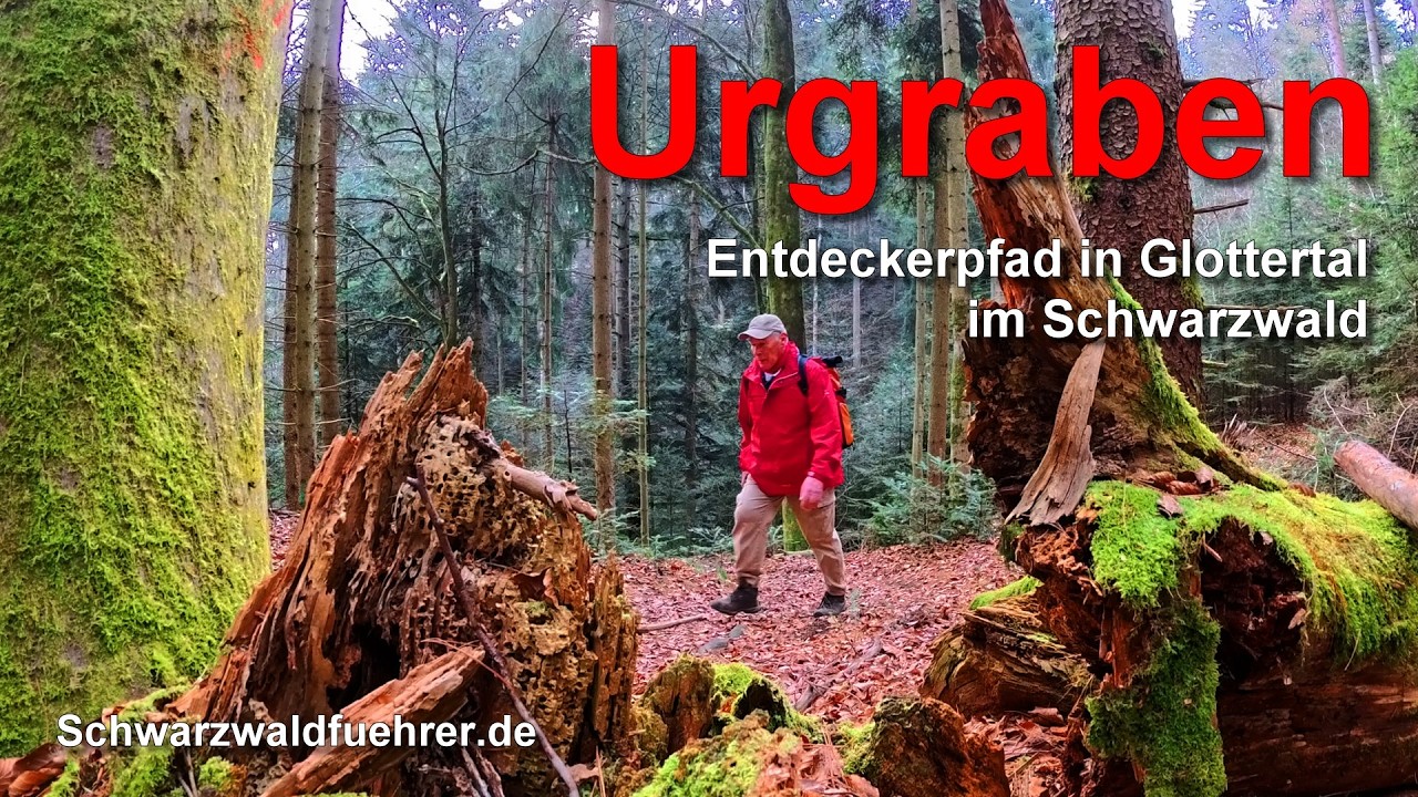 Urgraben - Entdeckertour in Glottertal im Schwarzwald