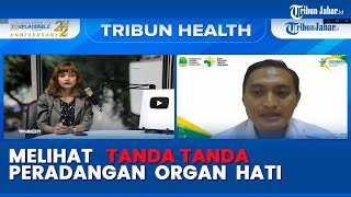 Melihat Tanda Tanda Peradangan Organ Hati