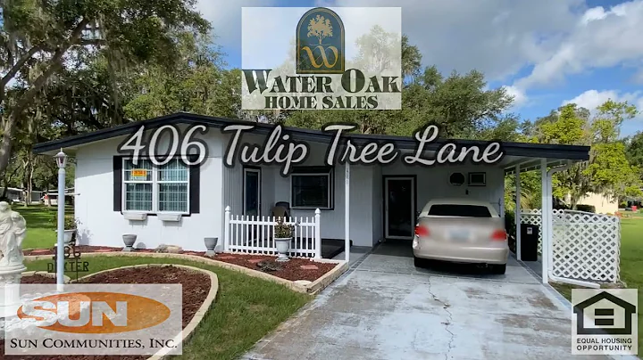 406 Tulip Tree Lane, Lady Lake, FL 32159
