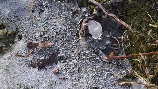 Macro Ice, January 14, 2024