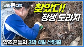 도라지 찾아 3박 4일 비박하며 산 올라탄 결과.. “대물이다!” | 부르는 게 값이 되는 귀한 약초 ‘장생 도라지’를 찾았다! | 야생 도라지 채취 | 극한직업 | #골라듄다큐