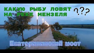 Какую рыбу ловят рыбаки на реке Мензеля? / Прогулка по Екатерининскому мосту