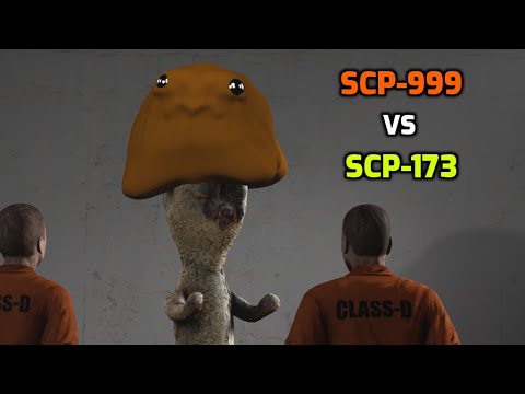 SCP-999 VS SCP-173 [SFM]