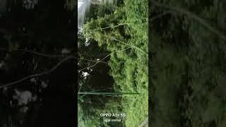 forest side mini river  and Fishing people and hanging fencing # solar fencing