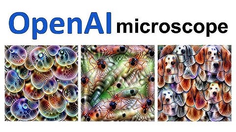 Feature Visualization & The OpenAI microscope