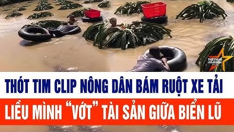Thót tim clip nông dân bám vào ruột xe tải liều mình “vớt” tài sản giữa biển lũ