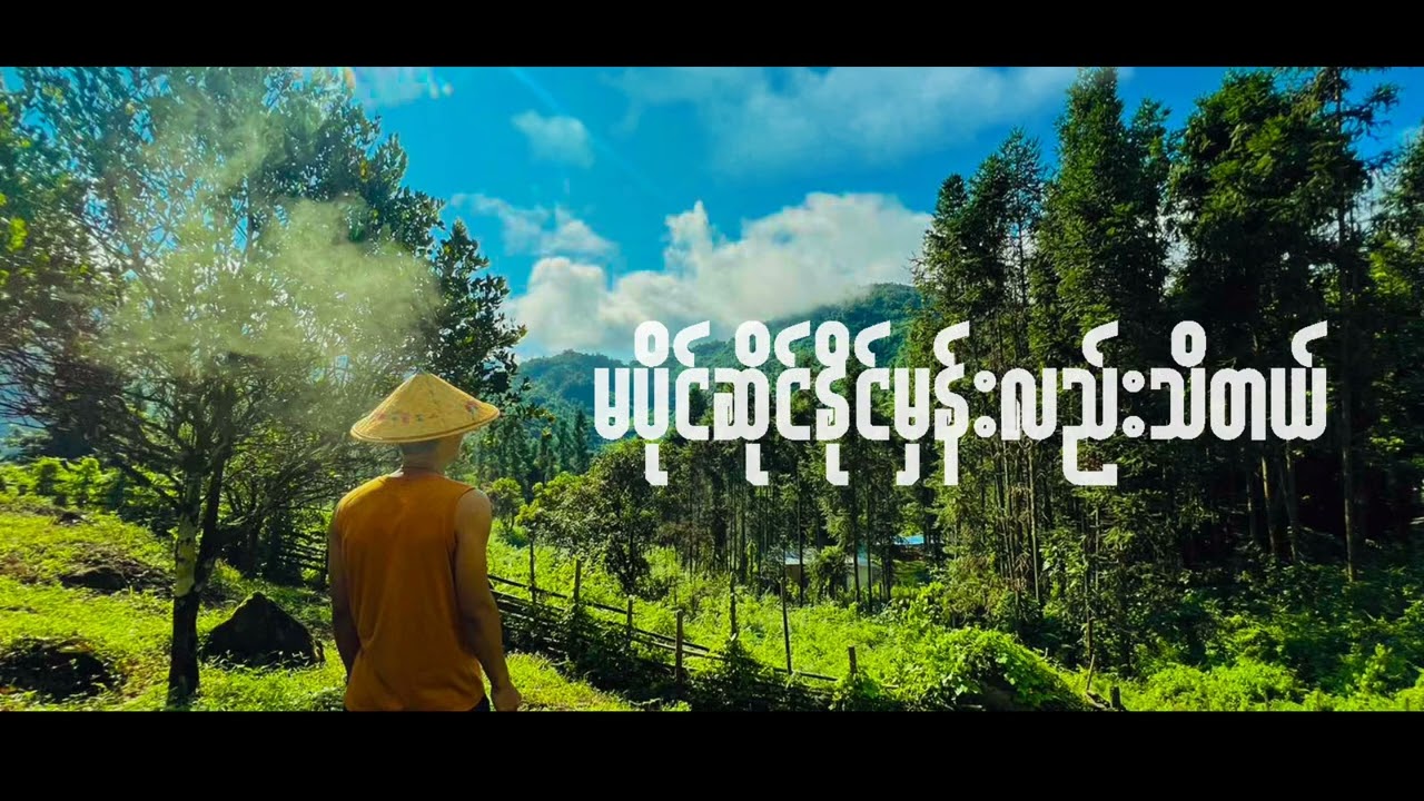 မဝယ်ဖြစ်တဲ့အရုပ်လေး