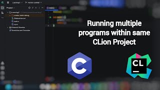 Running Multiple C Source Files within the same CLion Project