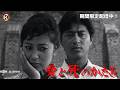 浅丘ルリ子×長門裕之『愛と死のかたみ』＜9/3~9/22配信中＞