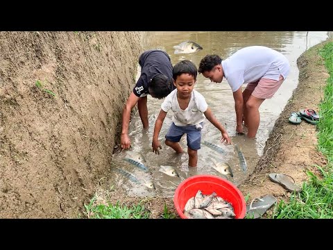Gak Nyaka Dapet Ikan Mujair Sebanyak Ini di Sawah
