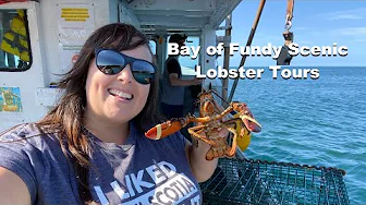 Bay of Fundy Scenic Lobster Tours