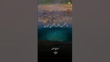 استمع وأرح قلبك 🌿💿 #القرآن_الكريم #المصحف #تلاوة_خاشعة #اكسبلور #لايك #حالات_واتس #تلاوة_تهز_القلوب