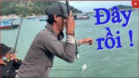 Câu Cá Biển | Câu Giải Trí Trên Cảng Đại Lãnh Trúng Ổ Cần Thủ Giật Đuôí Cả Tay