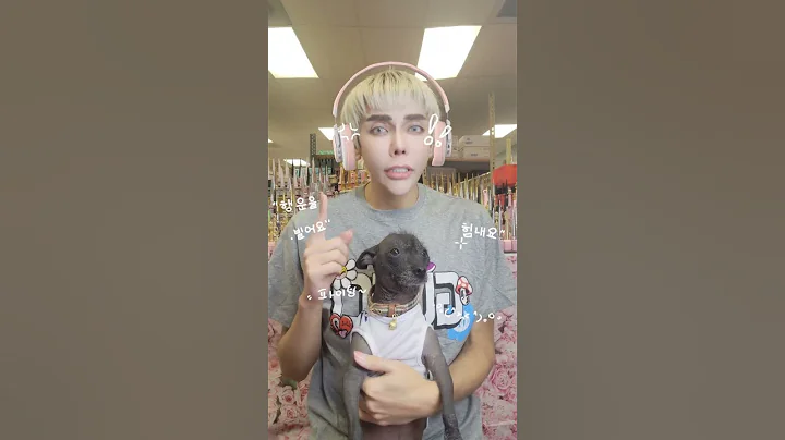 Enailcouture.com sale ends tonight #nails #nailgelart #nailaddict #naildesigns #nailart #nailtech