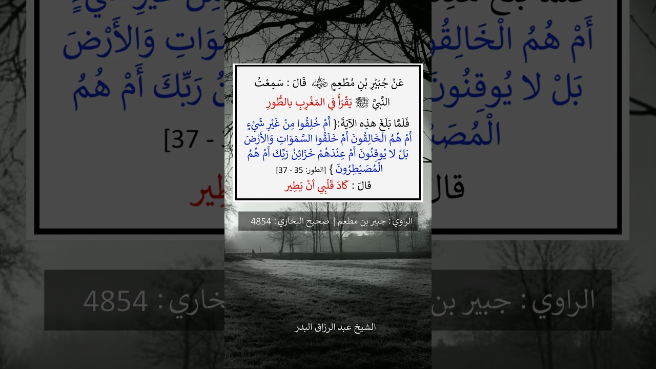 سمعت النبي صلى الله عليه وسلم يقرأ في المغرب بالطور - الشيخ عبد الرزاق البدر