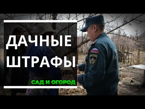 За что еще дачник может получить штраф