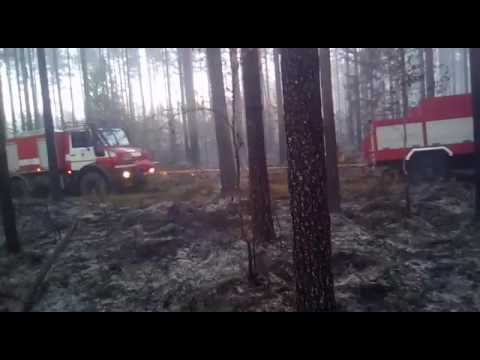 Video: Kādu lēmumu Montāgs pieņēma rītā pēc Bleikas kundzes ugunsgrēka?