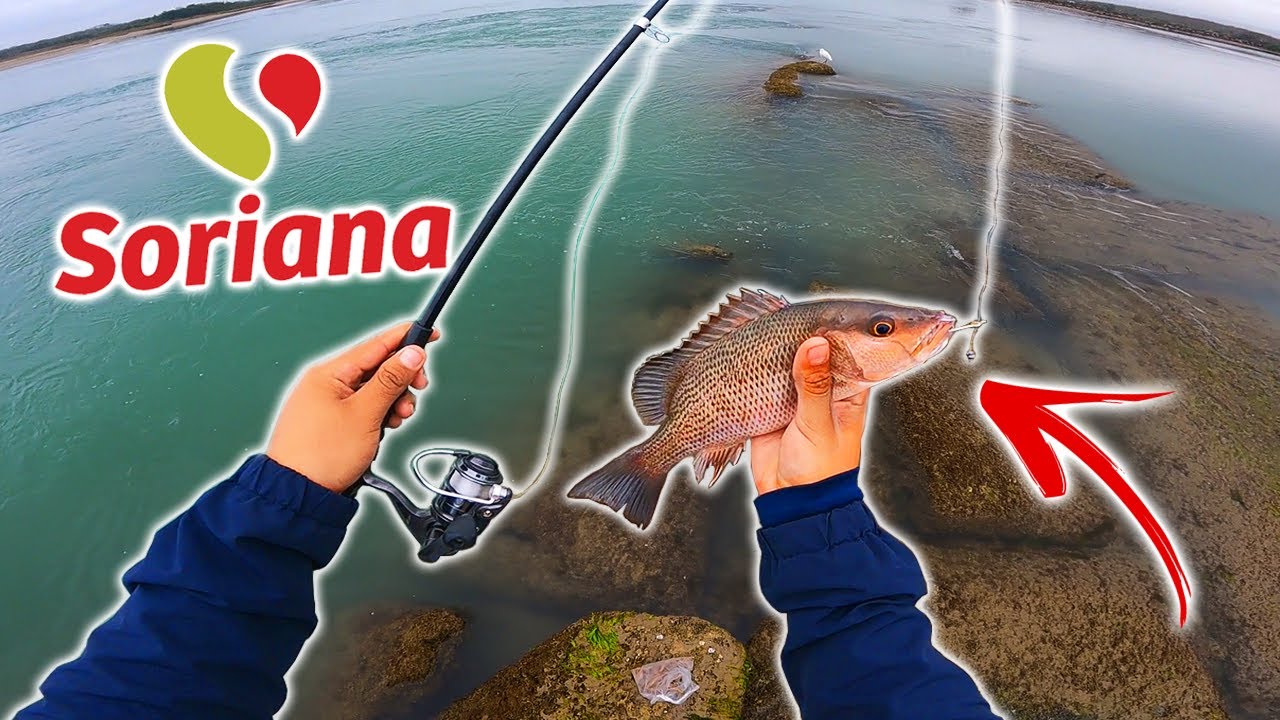 Probando la CAÑA de SORIANA en el MAR