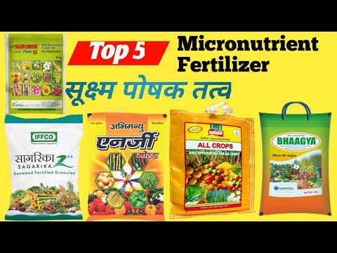 top 5 micronutrient fertilizer products | plant micronutrient | how to use micronutrient