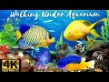 Walking Under Aquarium - Things to do in Quebec ll কানাডার কুইবেক শহরে একুরিয়াম ভ্রমন অভিজ্ঞতা