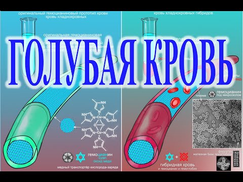 Кровавая история: Голубая кровь.| Виктор Максименков