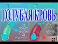 Кровавая история: Голубая кровь.| Виктор Максименков