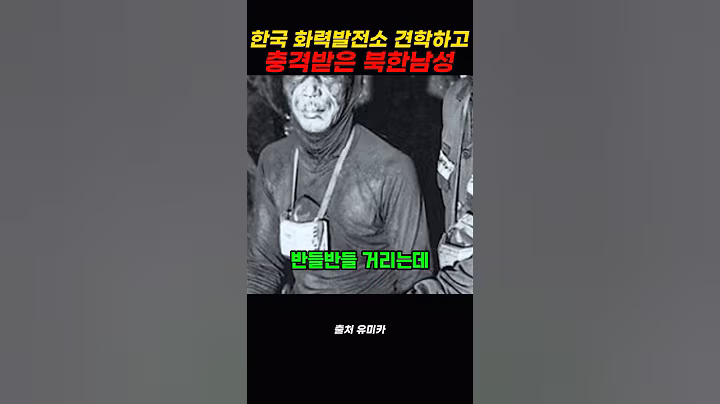 한국 화력발전소 견학하고 충격받은 북한 고위간부