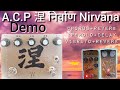 A.C.P. Nirvana Chorus/Reverb/Tremolo/Delay guitar pedal demo.