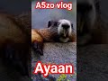 Ayaan Name Name A5zovlog