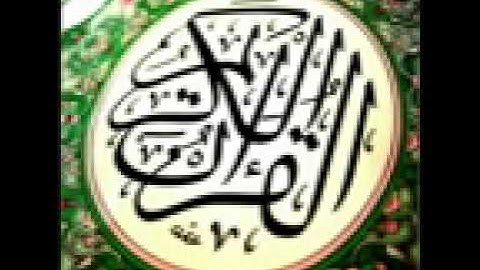 الحاج ميثم التمار ما تيسر من سورة القيامة الانسان المرسلات يونس .