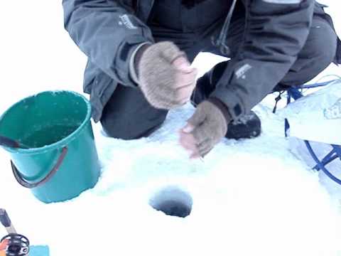 Club-Monadire.Ge ყინულქვეშ თევზაობა