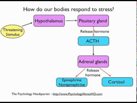 psychological health