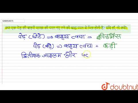 वीडियो: पेड़ की बाहरी परत को क्या कहते हैं?