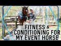 FITNESS CONDITIONING FOR MY HORSE My Training Schedule Thoughts On Proper Fitness For Eventing 