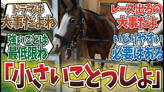 「人気が出る競走馬の条件って」に対するみんなの反応集