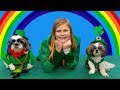 Assistant Leprechaun Challenge with Funny Dogs in Costume Wiggles and Waggles