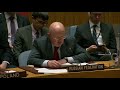 Выступление В.А.Небензи на заседании Совета Безопасности по ситуации на Ближнем Востоке