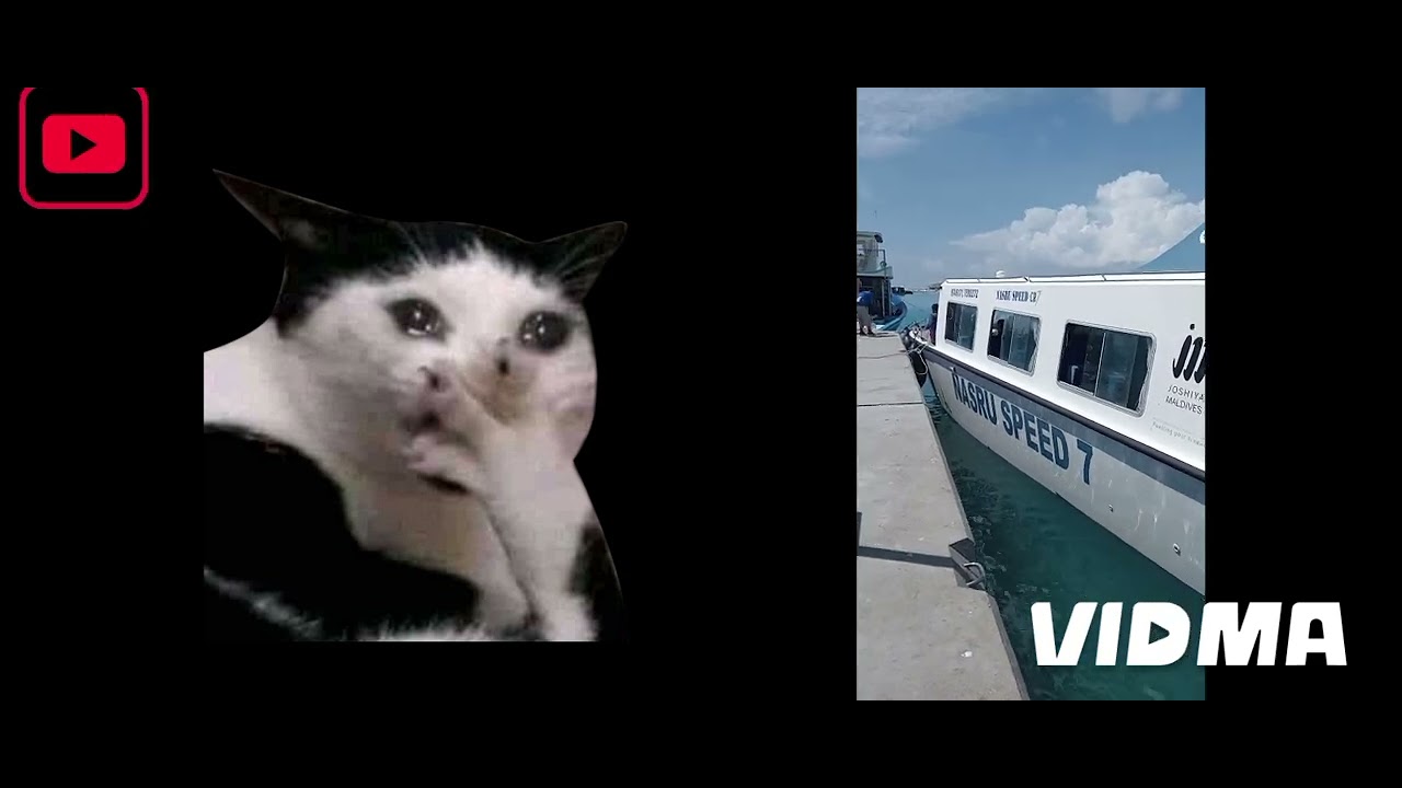 funny #edit - YouTube