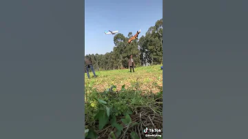 كلب يغتصب امرأة 