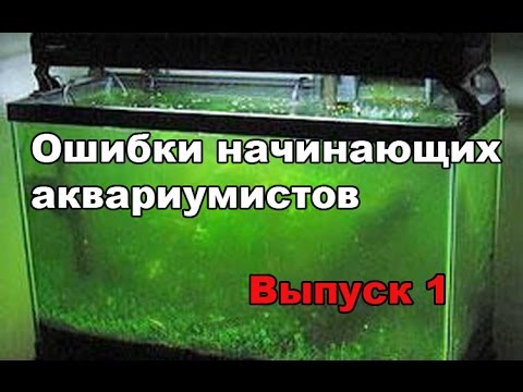 Ошибки начинающих аквариумистов. Выпуск 1