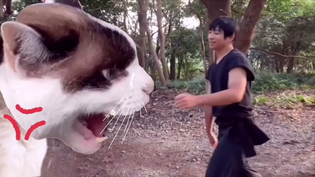 新春バトル　蛇拳　対　大猫