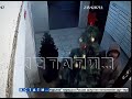 Похитительницы рождества - девушки подменили дорогую елку, которой украсили подъезд - на дешевую