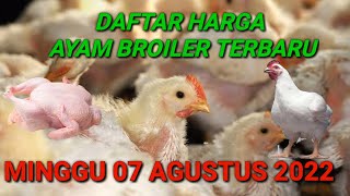 Harga Ayam Broiler Rabu 17 Agustus 2022. 