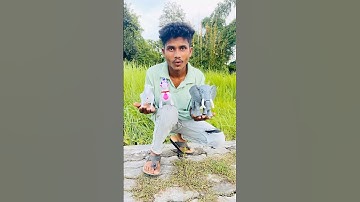 RC elephant unboxing, and testing, 🔥#shorts￼feed￼￼￼ #toys