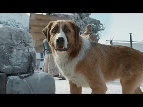 Топ 6 Лучших Фильмов Про Собак