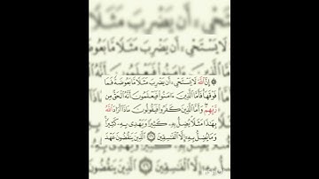 إعاده نشر للحذف : سوره البقره عدد آياتها ٢٨٦ آيه (سوره مدنيه ) الآيه ٢٦