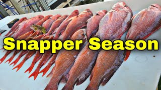 Red Snapper Season | Offshore Fishing Charter Galveston Texas | Up Above Adventures