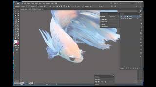 Low Poly Vector Animal Part 1 of 2