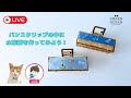 バンスクリップに水族館を作ってみよう！　#ハンドメイド #隠れ工房greenocean #tiktok #resinart #レジン