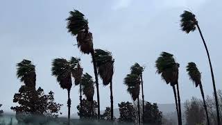 A Strong Storm System Hits San Jose, CA With Damaging Winds (24‎2024)